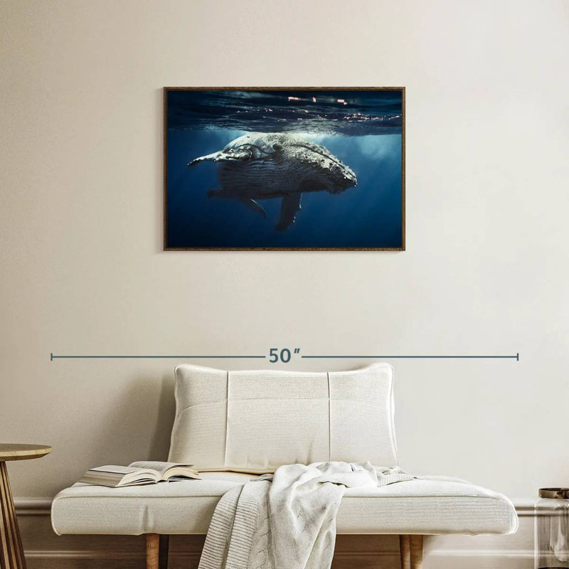 Baleine écumante, Cadre flottant noyer, 31 po x 21 po