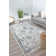 Freya Farmhouse Icy Grey Area Rug