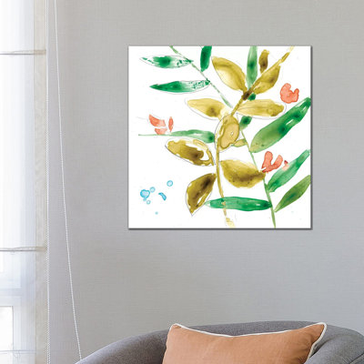 Tropical Display V by Jennifer Goldberger - Wrapped Canvas Painting