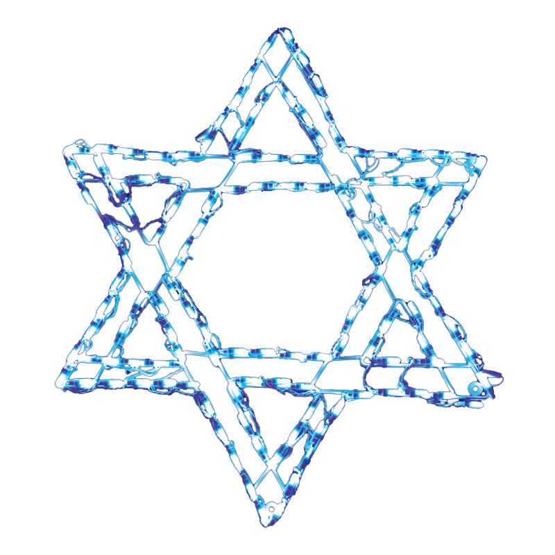 Star of David LED Display (32")