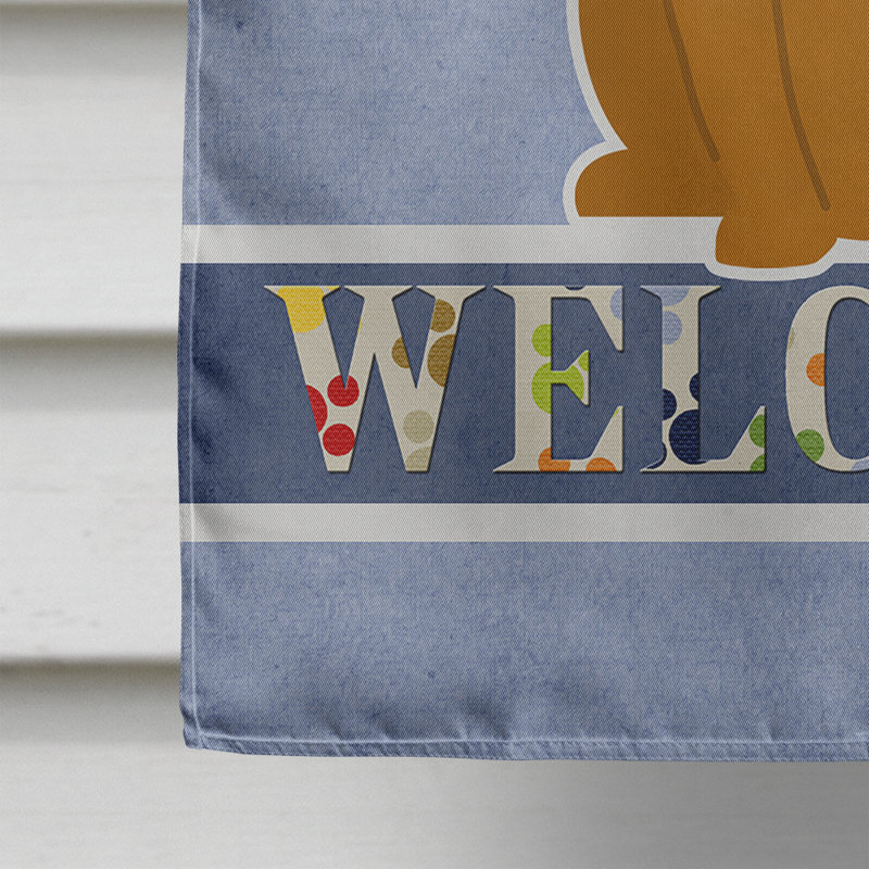 Polyester 2 côtés 40 x 28 po welcome drapeau maison, Boxer fauve assis