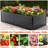 Galvanized Raised Garden Bed Outdoor 8X4x2 Ft - Large Planter For Vegetable And Flower Planting Black Easy Setup Fruit Cultivation To Put Together-658694857
