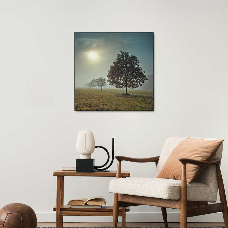 Impression sur toile, "Steppeix" par Assaf Frank