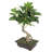 18" Artificial Bonsai Tree in Planter