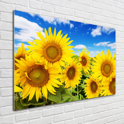 Sunflowers - No Frame Print on Glass