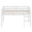 Wooden Loft Bed With Ladder-1049872959