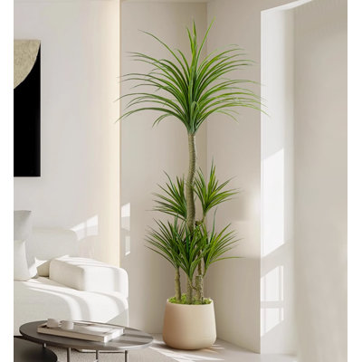 Arbre de dragon haut de gamme Bionic Green Plant