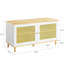 Storage Bench