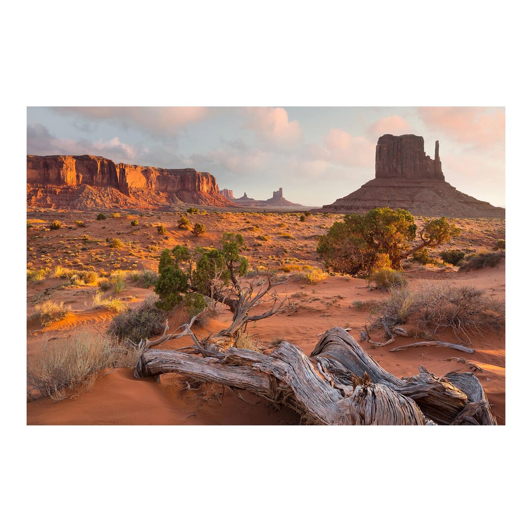 Strukturierte Fototapete Monument Valley Navajo Tribal Park 3,2 m x 480 cm