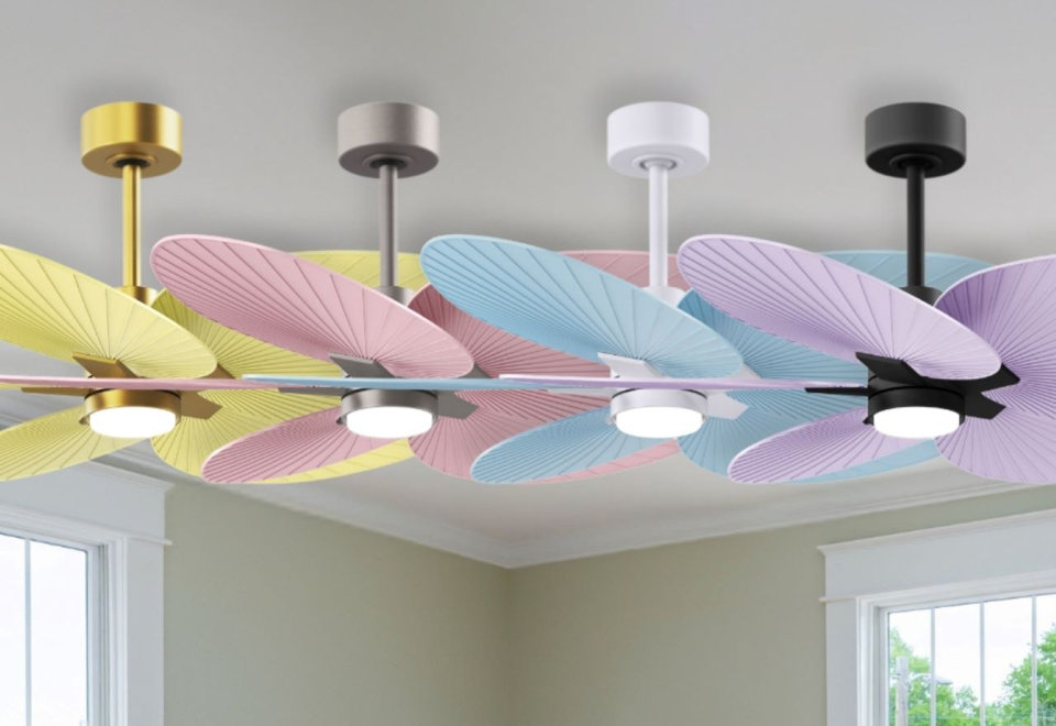 Ceiling Fans
