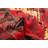 Rizbaft Red Rug 3'7" x 6'0"