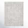 Oriental Indoor Rug