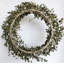 24" Spring Eucalyptus Front Door Wreath
