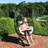 Urmia Hammock with Stand-1062561640
