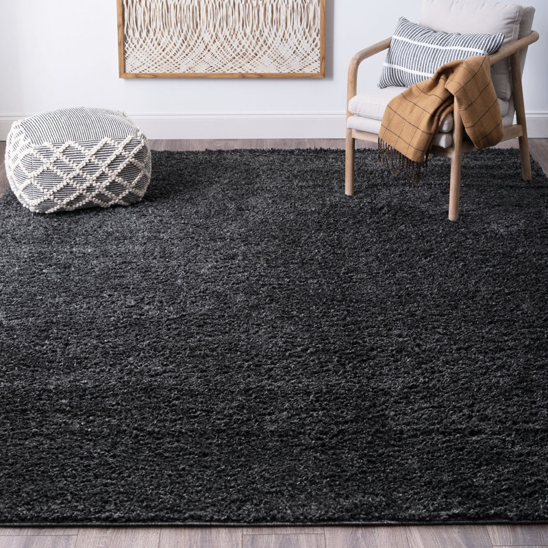 Tapis gris foncé à longs poils Delju, Rectangle 4 pi x 5 pi 3 po