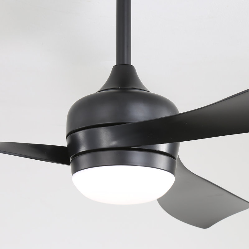 Ventilateur de plafond moderne de 52 po avec lumière DEL et moteur à télécommande DC Damecia, Noir