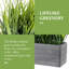 23.49cm Faux Onion Grass Grass in Cement Planter