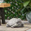Statue de jardin de tortue en béton légère de 15 pouces de large au fini gris patiné pour la décoration de patio et de cour arrière