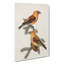 Crossbill Birds by Von Wright - Wrapped Canvas-55323880