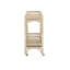Olisa Metal Bar Cart with Wheels
