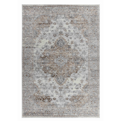 4' X 6' Brown Oriental Area Rug