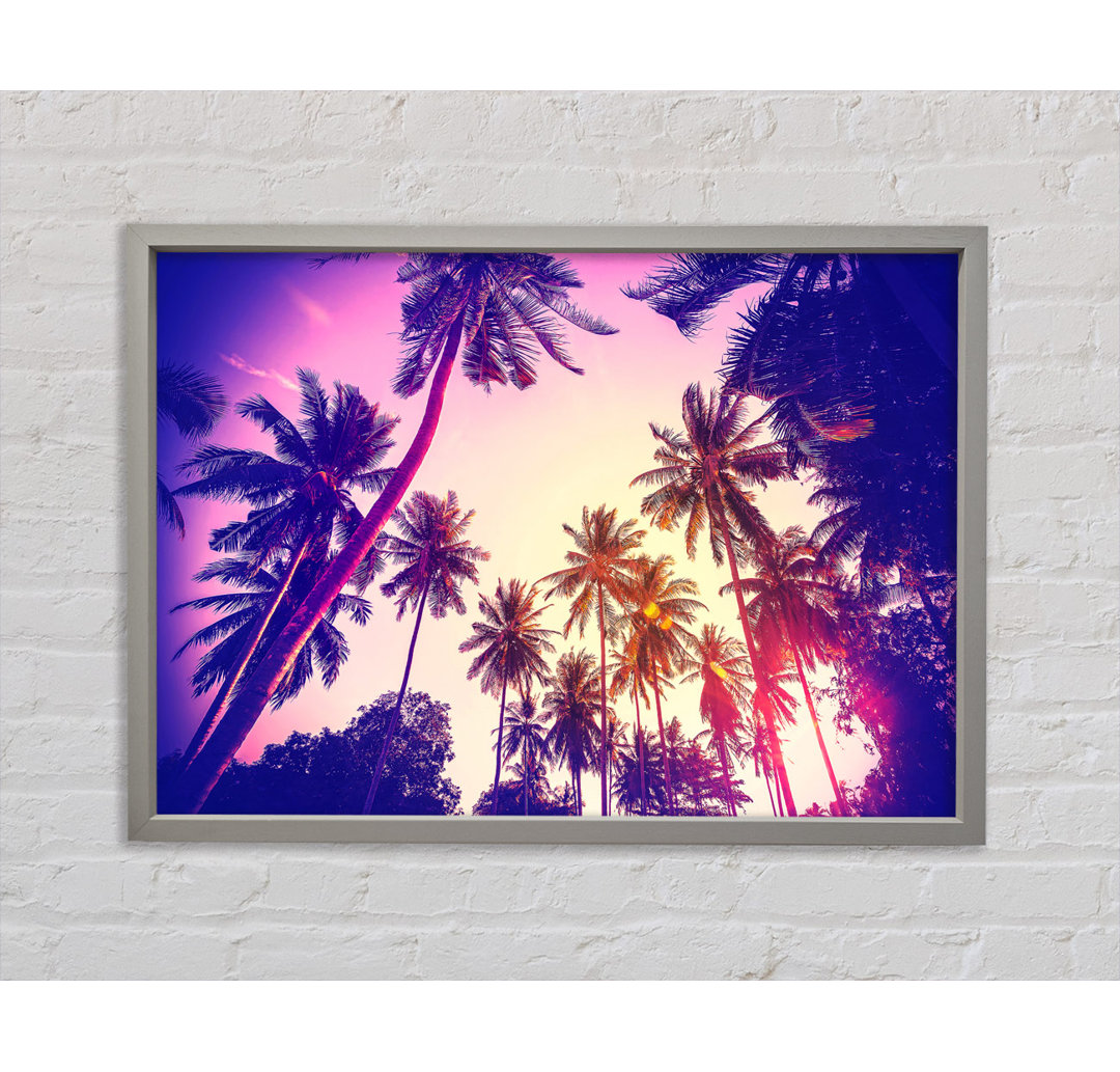 Palm Tree Glow - Druck