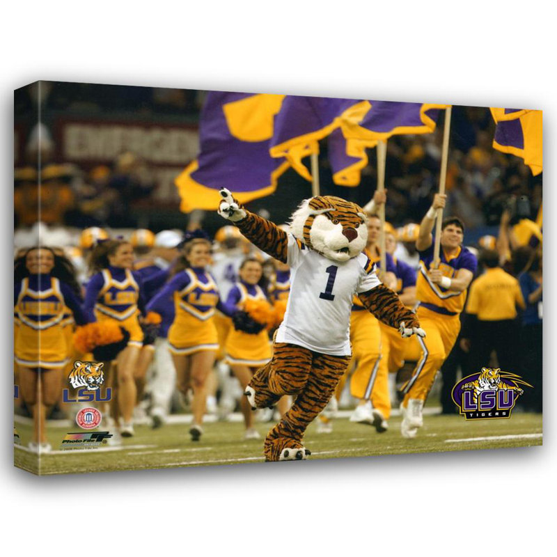 Louisiana State University, LSU, mascotte du tigre, H 19 po x l 24 po