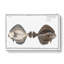 Flounder Fish by M.E. Bloch - Wrapped Canvas-55363853