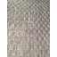 Checkered Area Rug in Gray