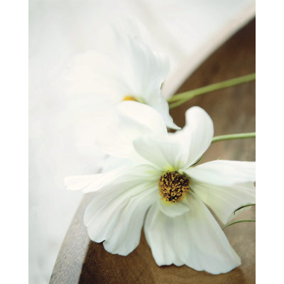 Ian Winstanley - Wrapped Canvas Print