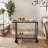 Kayrene Metal Bar Cart