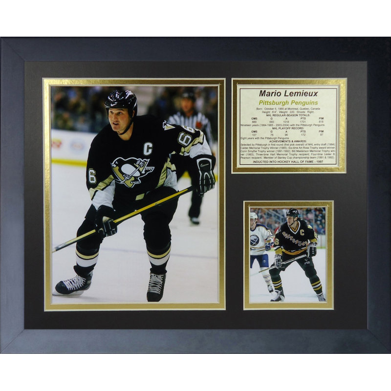 Souvenirs à cadre mario lemieux-home