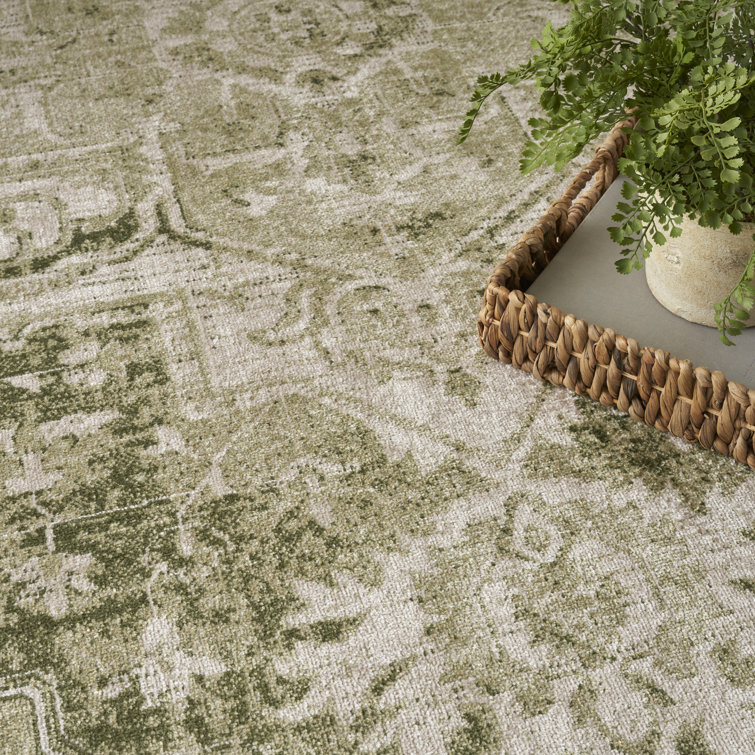 Haydel Machine Washable Area Rug in Ivory