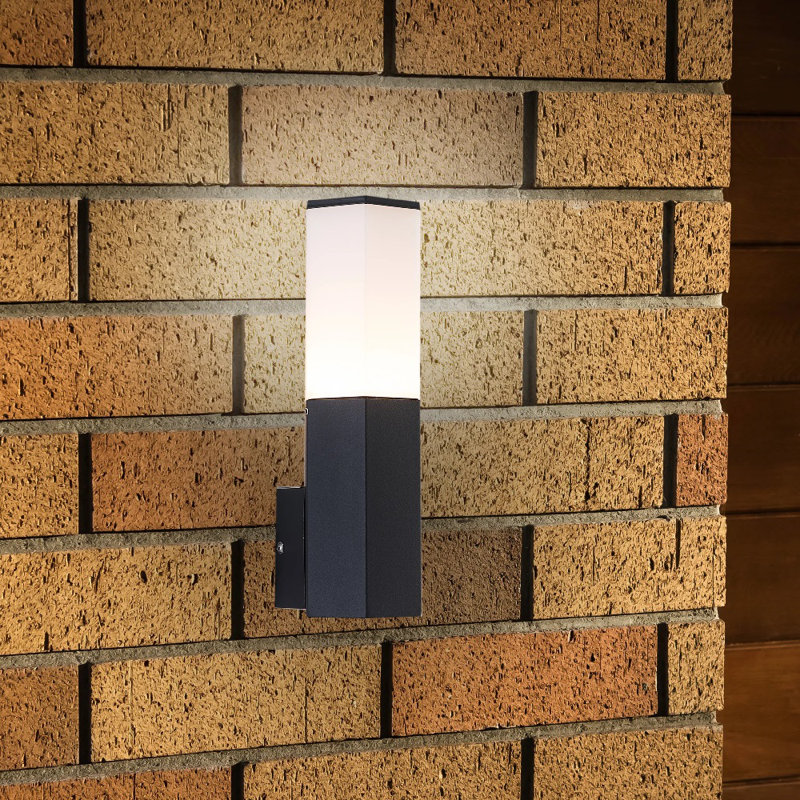 Lohyn Frosted Glass Outdoor Armed Sconce