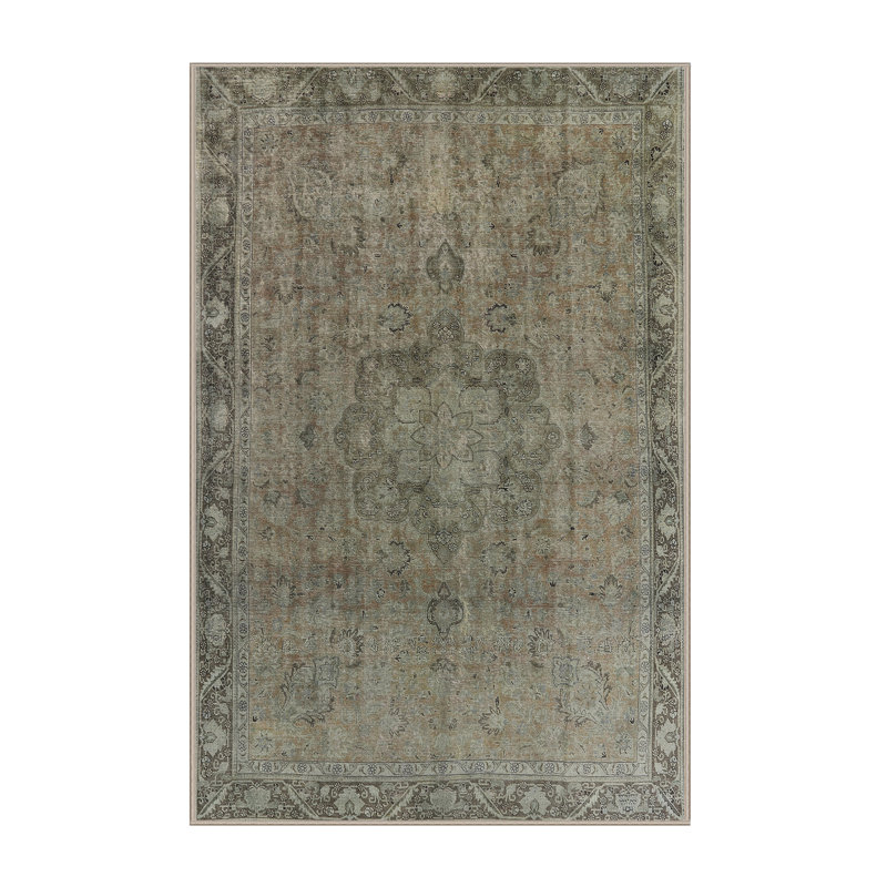 Eirian Oriental Indoor Rug, Rectangle 5' x 7'
