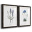 Lavande - ensemble de 2 reproductions d'impressions-484035939-484035729-467967548