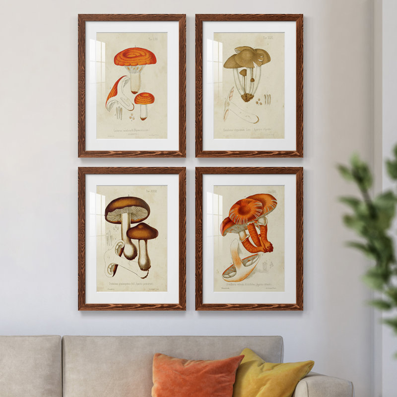Champignon Variétés, Cadre en érable, H 20 po x l 68 po x P 1,5 po