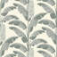 Banana Leaf - Wallpaper-272488710-536750507