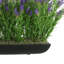 Outdoor UV-Rated Lavender in Rectangular Planter