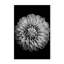 Nature Inspired Marigold by  - Picture Frame Photograph on Paper-131286327-131286330-131286331