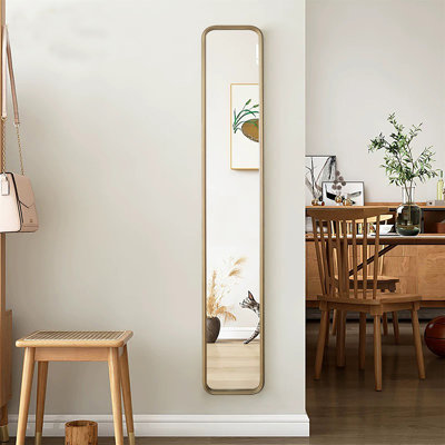 Miroir pleine grandeur 47 po x 8 po avec cadre en métal doré antique