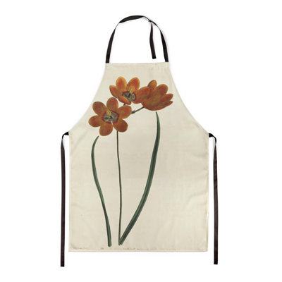 Orange Monadelpha - Botanical Aprons