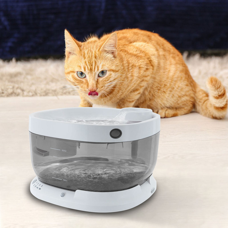 Fontaine pour chat, Blanc