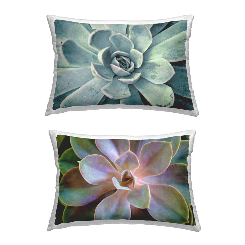 Coussin décoratif imprimé Centric Succulent Forms par Susan Bryant (ensemble de 2)