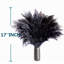 Plante grimpante 17 po Atalaya-1329839818-1329839831