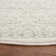 Oriental Area Rug