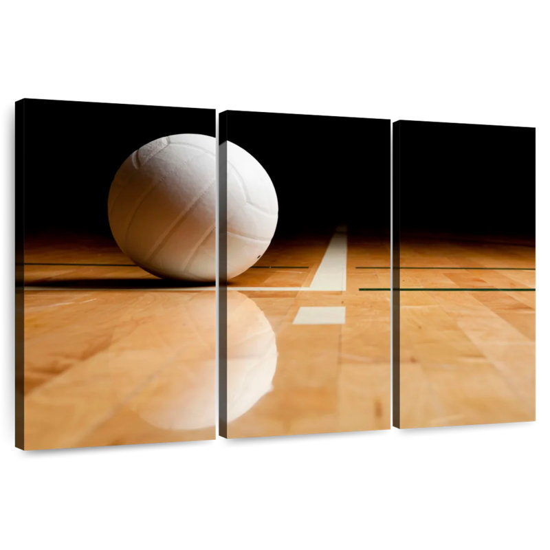 Sireci White Volleyball Reflection, 48" H x 74" W