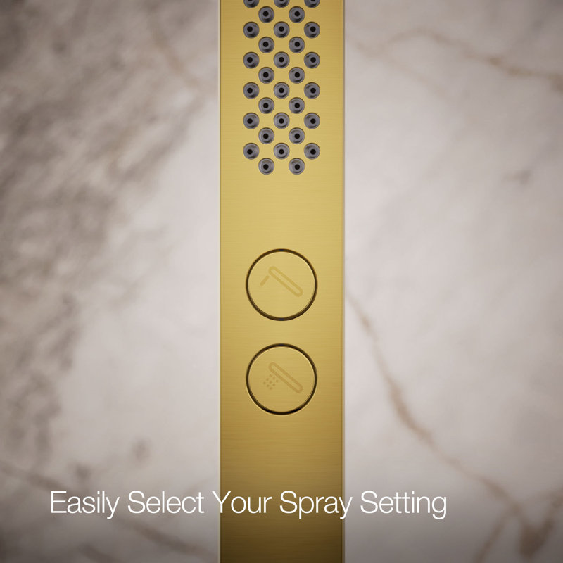 Shift + Square Two-Function Handshower, Multi-Function Handheld Shower Head, 1.75 GPM, Vibrant Brushed Moderne Brass, Square