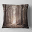 Schafer, photographie de paysage, sentier forestier-1177814105-1177814109