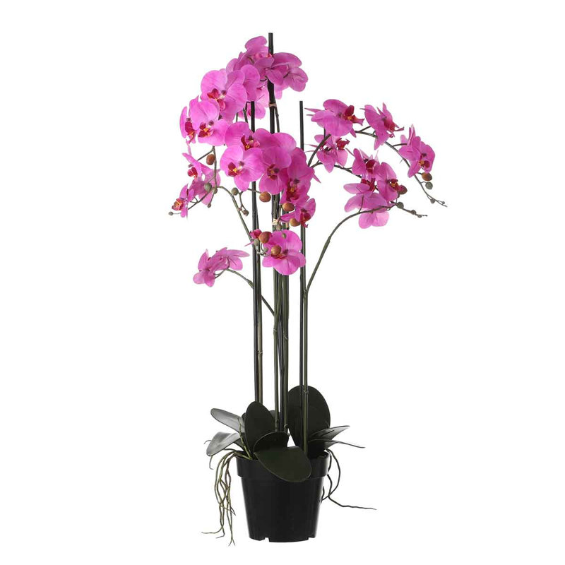 Faux Flowering Plant in Pot, 97cm H x 19cm W x 19cm D, White